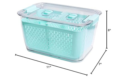 Kitchen Spaces Colander Bin, Produce Saver, Fridge Organizer With Lid, Wash, Strain and Store, Great for Refrigerator, Freezer and Pantry, Large, Mint Green, Pack of 1