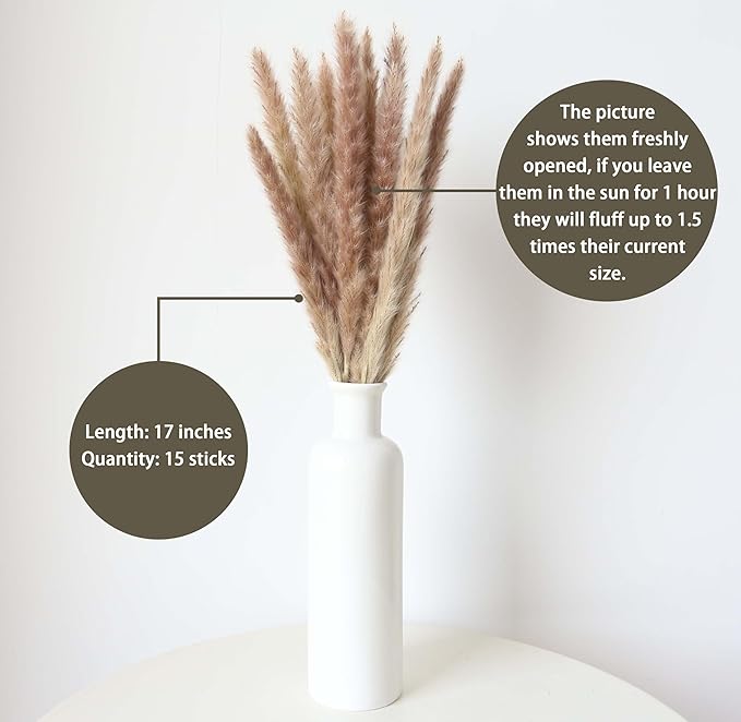 110 Stems Dried Pampas Grass, Boho Table Decor Natural Reed Phragmites Grass + Brown & White Pampas Grass + Bunny Tails Flowers Bouquet for Wedding Floral Arrangements Farmhouse Home Rustic Wall