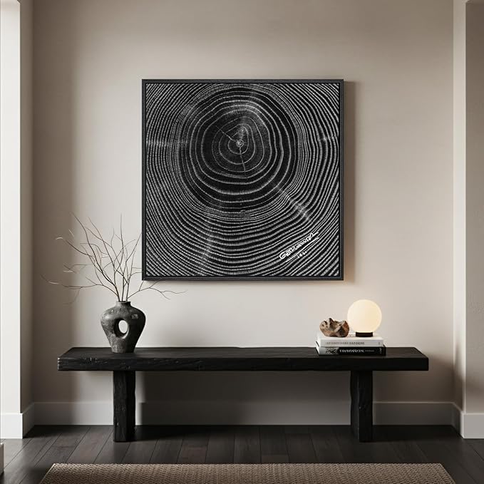 Framed Black and White Abstract Wall Art, 1 Piece Square Modern Canvas Prints Artwork for Walls, Minimalist Abstract Tree Ring Pictures for Bedroom Dining Room Lounge Living Room Wall Decor 24x24 In