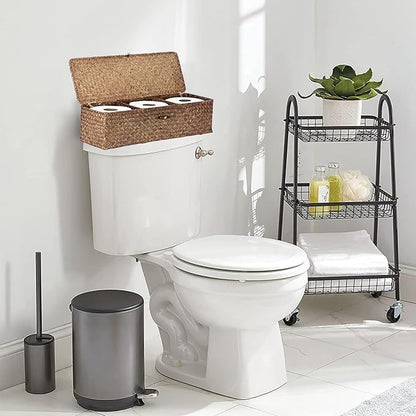 Sumnacon Extended Seagrass Storage Basket with Lid 3-Section Wicker Storage Basket,Small Woven Shelf Basket for Toiletries Tampon Storage,Seagrass Basket for Shelf Bathroom Toilet Counter,Coffee