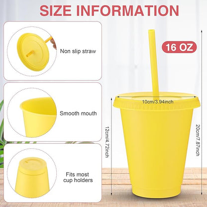 Sieral Cups with Straws and Lids Kids Tumbler with Straw Reusable Water Bottle Iced Coffee Travel Mug Adults Plastic Cups for Parties 16 oz (Vibrant Colors,30 Pack)