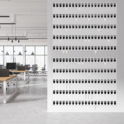 Acrylic Key Board with 100 No. Hooks Wall Mount Key Rack Holder Hanger Storage Collection for School, Garage, Car Dealer, Office, Hotel, Real Estate(Transparent)
