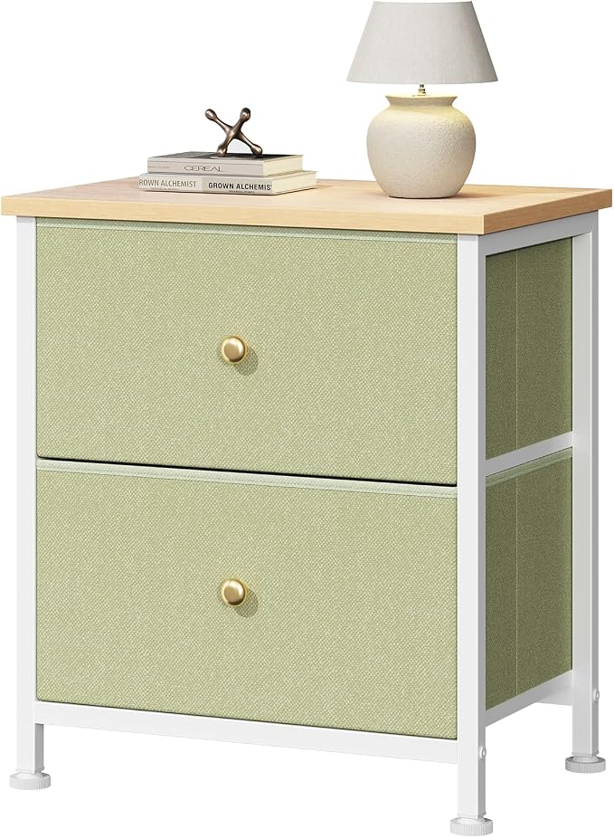 DUMOS Nightstand Small Dresser with 2 Fabric Drawers Side Tables Bedroom End Table Kids Bedside Storage Furniture for 20 inch Tall Night Stand for Closet, Entryway, College Dorm, Light Green