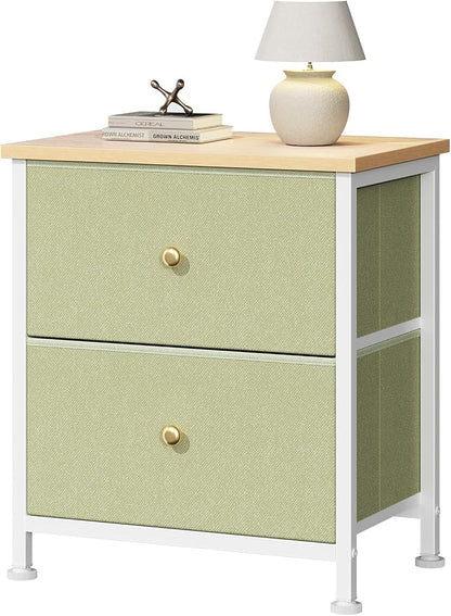 DUMOS Nightstand Small Dresser with 2 Fabric Drawers Side Tables Bedroom End Table Kids Bedside Storage Furniture for 20 inch Tall Night Stand for Closet, Entryway, College Dorm, Light Green