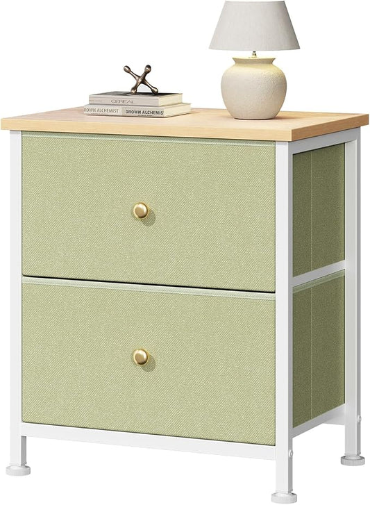 DUMOS Nightstand Small Dresser with 2 Fabric Drawers Side Tables Bedroom End Table Kids Bedside Storage Furniture for 20 inch Tall Night Stand for Closet, Entryway, College Dorm, Light Green