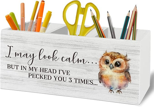 Owl Funny Pen Pencil Holder Organizer for Desk Accessories, I May Look Calm Funny Wooden Box Sign Desk Decor for Home Office Decoration, Owl Lovers Gifts for Women