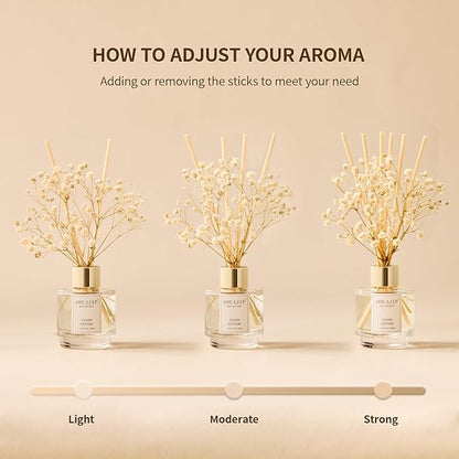 Airkeep Reed Diffuser Set of 3, Cinnamon Vanilla Lavender Field Moroccan Amber Oil Reed Diffusers for Bedroom Living Room Office Aromatherapy Oil Reed Diffuser for Gift 50ml x 3