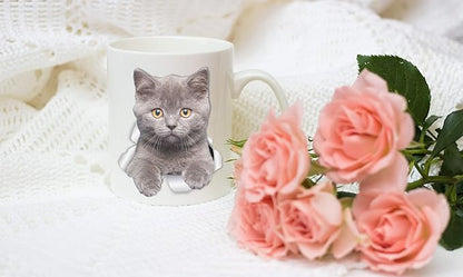 Winston & Bear British Shorthair Cat Mug - Grey Kitten Ceramic Coffee Mug - Perfect British Shorthair Cat Gifts - Funny British Shorthair Kitty Cat Coffee Mug for Cat Lovers (15oz)