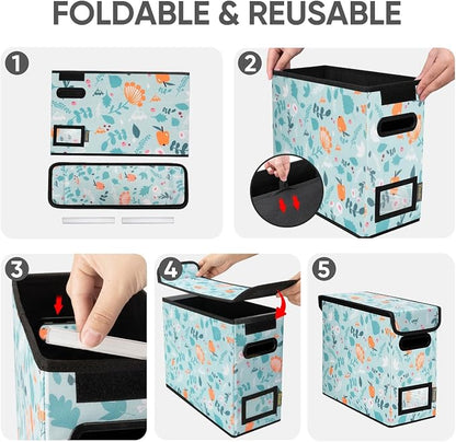 BALEINE File Organizer Box with Lid, Collapsible File Folder Organizer with Plastic Slide, Hanging File Folder Box for Office Document Storage (1 Pack, Spring Stroll, S)
