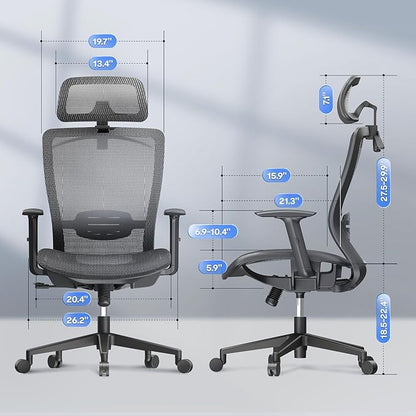 FLEXISPOT Ergonomic Office Chair, High Back Mesh Swivel Computer Chair, Executive Office Desk Chairs, with Adjustable Lumbar Support/2D Headrest/Lockable Backrest, OC3 Mesh Seat, Gray