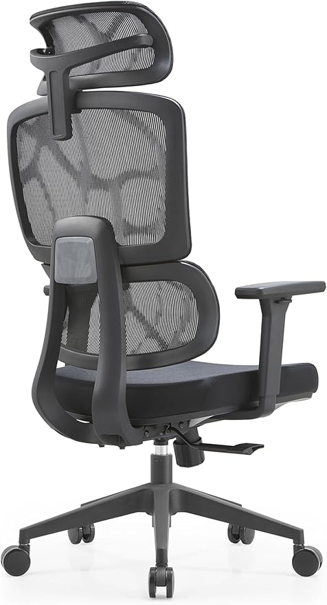 Premium Mesh Executive Home Office Desk Chair, with Ergonomic Lumbar, Black