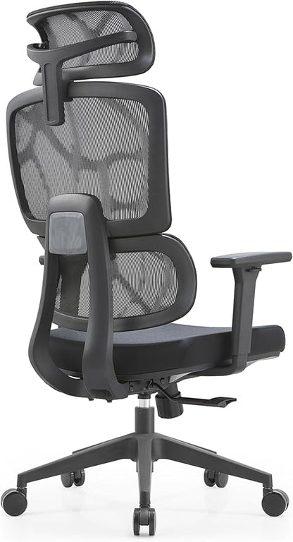 Premium Mesh Executive Home Office Desk Chair, with Ergonomic Lumbar, Black