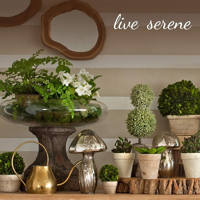 Serene Spaces Living Medium Glazed Ceramic Pedestal Bowl- Centerpiece for Vintage Weddings, Events, Measures 6" Tall and 5.75" Diameter