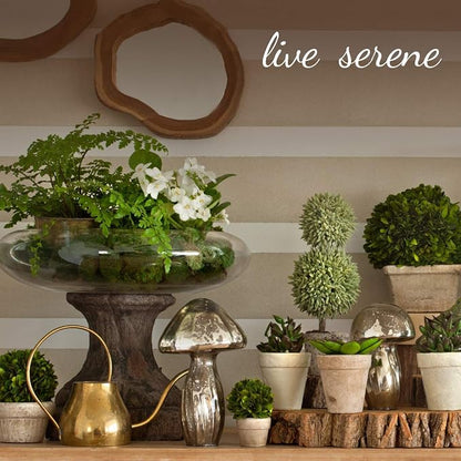 Serene Spaces Living Medium Glazed Ceramic Pedestal Bowl- Centerpiece for Vintage Weddings, Events, Measures 6" Tall and 5.75" Diameter