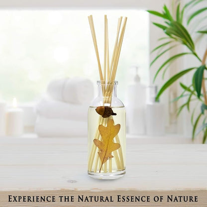 Urban Naturals Spiced Chestnut Reed Diffuser Sticks and Oil Set – Comforting Autumn Scent of Chestnuts, Cinnamon, Clove and Cedar Wood with Real Acorns and Fall Leaves – 3.75 Ounces – Made in the USA