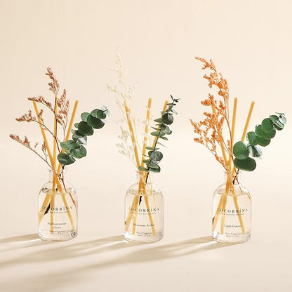 COCORRÍNA Eucalyptus Reed Diffuser Set of 3 - Light Cotton, Mediterranean Citrus, Moroccan Amber Scents, 1.7 fl oz Each, Total 5.1 oz, Scented Oil Diffusers for Home & Office