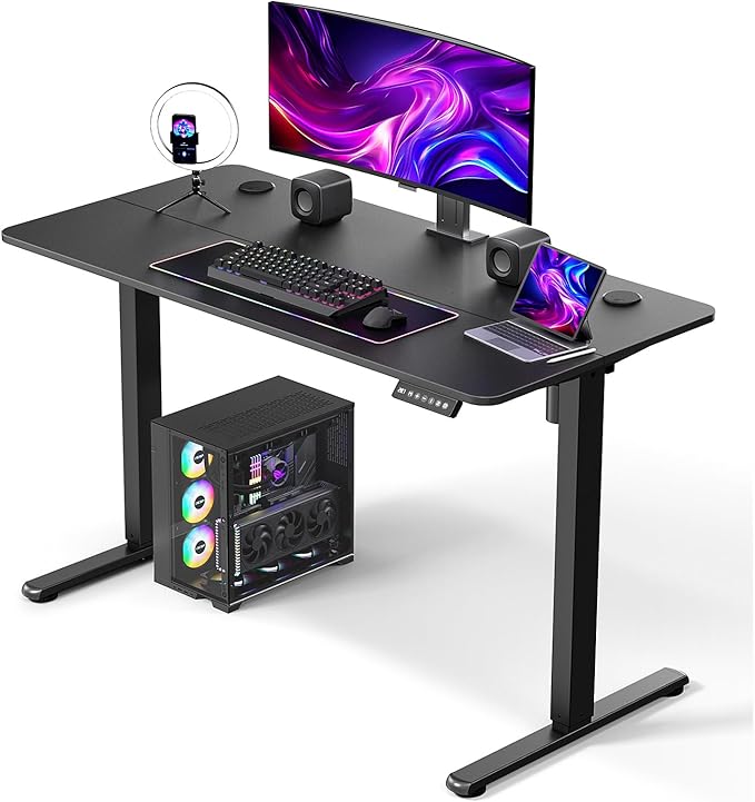 48" Electric Standing Desk Adjustable Height, Ergonomic Sit Stand Computer Desk for Home Office, Sturdy Motorized Workstation with Memory Controller & Timer, Black