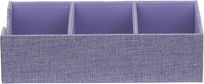 Household Essentials Iris-Colored Cardboard Trays with PP Accents, Set of 2