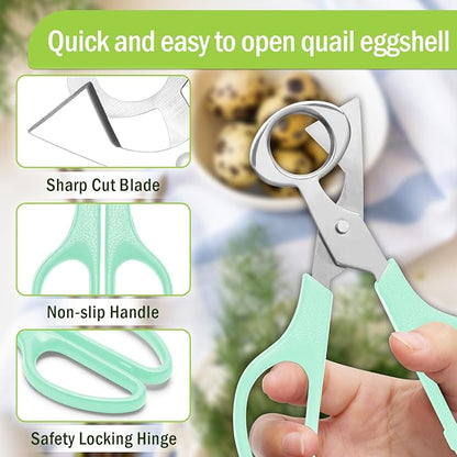 AHIER Pigeon Quail Egg Cutter Scissors Stainless Steel Blades Bird Cutter 2 Pack