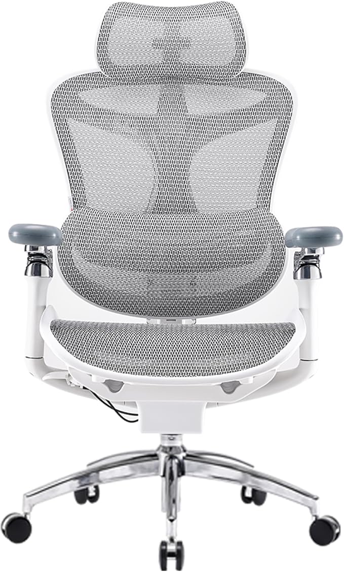 SIHOO Doro C300 Pro Ergonomic Office Chair with Ultra-Soft 6D Armrests, Dynamic Lumbar Support, Seat Depth Adjustment, Adjustable Backrest, Big and Tall Desk Chair for Home Office (Grey)