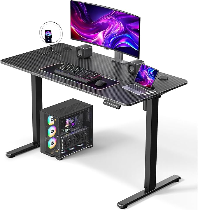 48" Electric Standing Desk Adjustable Height, Ergonomic Sit Stand Computer Desk for Home Office, Sturdy Motorized Workstation with Memory Controller & Timer, Carbon Fiber Black