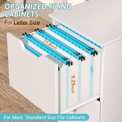 Nordun Plastic Hanging File Folder Extra Capacity,12 Pack Reinforced Hang Folders with Heavy Duty 2 Inch Expansion,Filing Cabinet Folders Letter Size,Hanging Organizer Designed for Bulky Files(Blue)