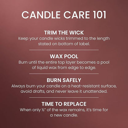 Yankee Candle Large Tumbler Scented Candle with up to 80 Hour Burn Time, Premium Plant Wax Blend for Consistent Burn, 20 oz Tumbler Candle with Room Filling Fragrance, Ciderhouse