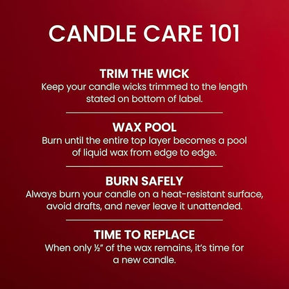 Yankee Candle, Macintosh Scented Candle, 20oz Classic 2-Wick Tumbler with up to 80 Hour Burn Time