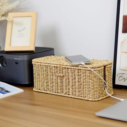 BROWNLILY Cable Management Box, Rattan Style Cord Organizer for Desk Cord Hider Outlet Covers for Power Strip TV PC Router Charger Under Desk Storage - Natural Small