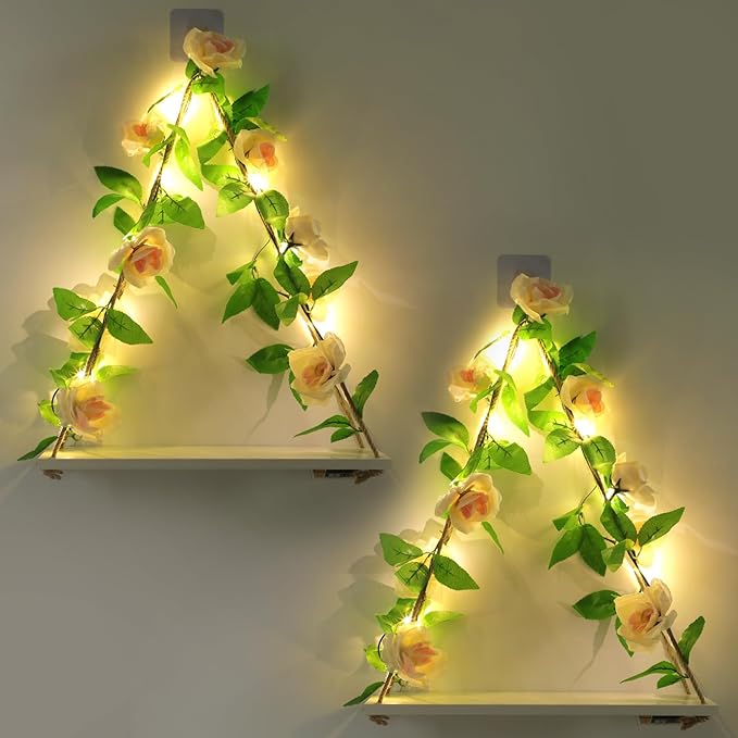 JOPSTDI Floating Shelves for Wall,Plant Wall Decor,Hanging Shelf,Cottage Core Decor,Room Decor Aesthetic,Trinket Shelf,Hanging Shelves,Floating Shelves for No Drilling,Two-Piece Set