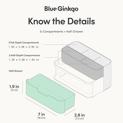 BLUE GINKGO Compact Desk Organizer – Small 5-Compartment, Half Drawer Storage – Pen Holder, Stationery Organizer for Desktop, Vanity, Shelf (Made in Korea, Transperent)
