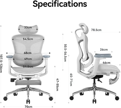 SIHOO Doro C300 Ergonomic Office Chair with Footrest, Ultra Soft 3D Armrests, Dynamic Lumbar Support for Home Office Chair, Adjustable Backrest Desk Chair, Swivel Big and Tall Computer Chair (Grey)