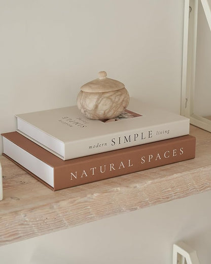 Beautiful Decorative Books - Set of 2 Boxes Enhance Your Coffee Table, Bookshelf or Mantel Shelf Decor - Aesthetic Fake/Faux Books for Modern Home Decoration, Photo Storage and as a Keepsake Box
