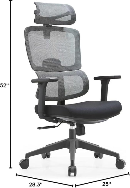Premium Mesh Executive Home Office Desk Chair, with Ergonomic Lumbar, Black