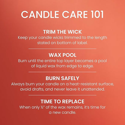 Yankee Candle Large Tumbler Scented Candle with up to 80 Hour Burn Time, Premium Plant Wax Blend for Consistent Burn, 20 oz Tumbler Candle with Room Filling Fragrance, Spiced Pumpkin