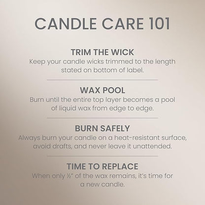Yankee Candle Amber & Sandalwood, Fall Scented Candle, 14.5oz 3-Wick Candle Jar with up to 40 Hours Burn Time