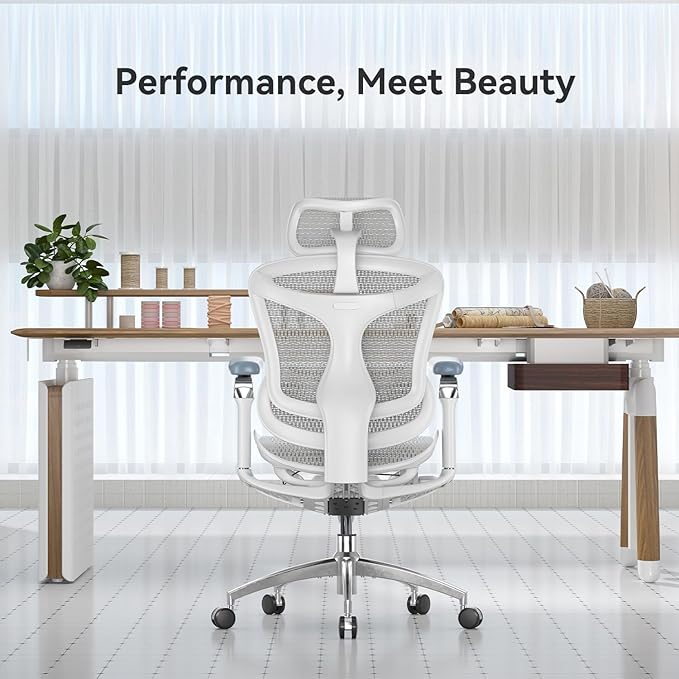 SIHOO Doro C300 Pro Ergonomic Office Chair with Ultra-Soft 6D Armrests, Dynamic Lumbar Support, Seat Depth Adjustment, Adjustable Backrest, Big and Tall Desk Chair for Home Office (Grey)