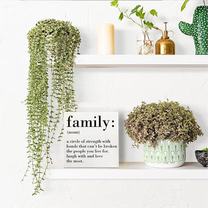 HTBIG Family Noun Family Quotes Desk Decor Wooden Box Sign Inspirational Rustic White Wood Block Plaque Box Sign for Home Farmhouse House Kitchen Bathroom Living Room Shelf Table Decoration