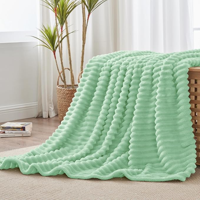 BEDELITE Fleece Throw Blanket for Couch - 300GSM Soft & Warm Fluffy Mint Green Blanket, Decorative and Giftable Striped Blankets for Women, Men, 50"x60"
