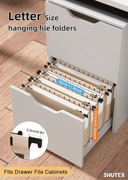 Extra Capacity Plastic Hanging File Folders,12 Pack Reinforced Hang Folder,Heavy Duty 2 Inch Expansion,Filing Cabinet Folders Letter Size for Bulk Files/Medical Charts(Light Beige)