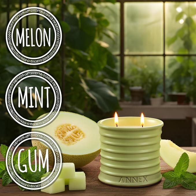 Annex Melon & Juniper Luxury Scented Candle - Handmade Ceramic Jar - 50hr Clean Burn, Non-Toxic Soy Wax - Aesthetic Home Decor Winter Gift for Men & Women - Botanical Crisp Scent
