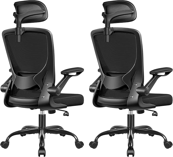 Ergonomic Office Desk Chair Comfy, High Back Mesh Office Desk Chairs with Adjustable Lumbar Support, Headrest, Flip-up Armrests, Home Computer Chair for Gaming, Work, 2 Pack
