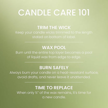Yankee Candle Vanilla Lime, Scented Candle, 22oz Large Jar with up to 150 Hour Burn Time, Giftable