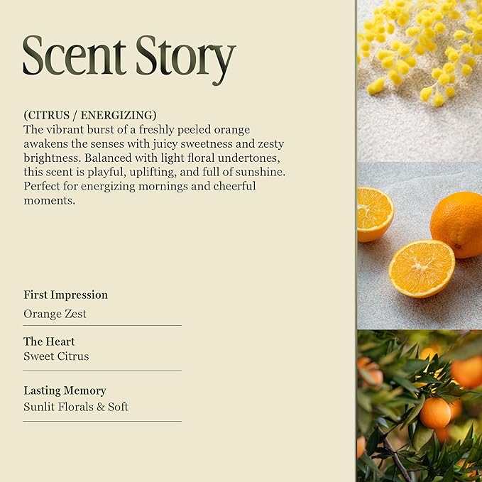Annex Orange & Mimosa Luxury Scented Candle - Handmade Ceramic Jar - 50hr Clean Burn, Non-Toxic Soy Wax - Aesthetic Home Decor Winter Gift for Women & Men - Energizing Citrus