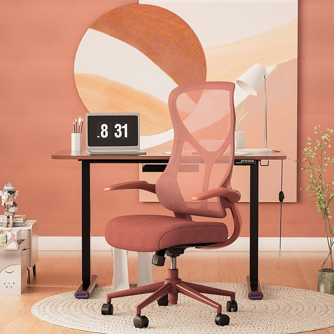 NearHub EC10 Stylish Ergonomic High Back Mesh Reclining Office Chair with Adjustable Flip-Up Armrests,Lumbar Support & Headrest,Breathable & Comfortable Computer Chair for Home, Office & Study