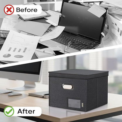 BALEINE File Organizer Box with Lid, Collapsible File Folder Organizer with Plastic Slide, Hanging File Folder Box for Office Document Storage (Tab Friendly, 1 Pack, Black)