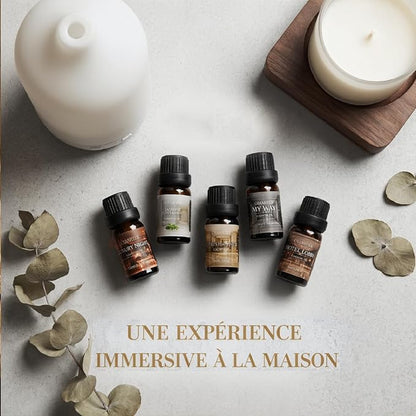 Hotel Collection Essential Oils for Diffusers for Home-6x10ml Luxury Scented Oil Set with Luxury Night,Jasmine Peppermint,White Tea,Citrus Happiness,My Way,Hotel Lobby,Gift for Women and Men