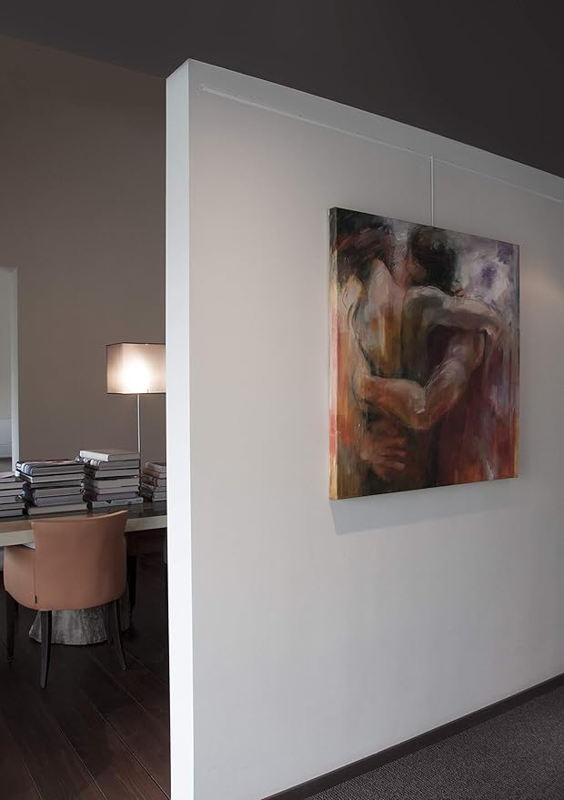 STAS Art Hanging Set: STAS j-Rail max Steel Rod Silver 4x4 100cm + Hook