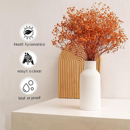 Bohemian White Ceramic Vase - for Pampas Grass, Mantel, Bookshelf, Entryway and Living Room Decor (White, 7in)