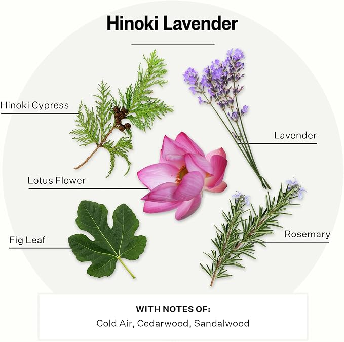 Apotheke Luxury Scented Reed Diffuser for Home, Hinoki Lavender - 6.7 Fl Oz Essential Oil Aromatherapy - 10 Rattan Scent Sticks Room Diffuser - Long-Lasting Fragrance for Bedroom, Home, Bathroom